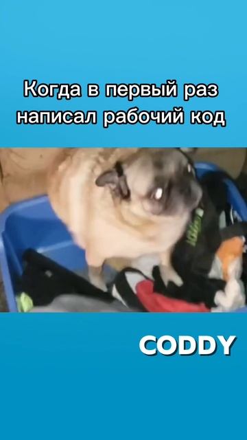 1000235101.mp4 смотреть онлайн