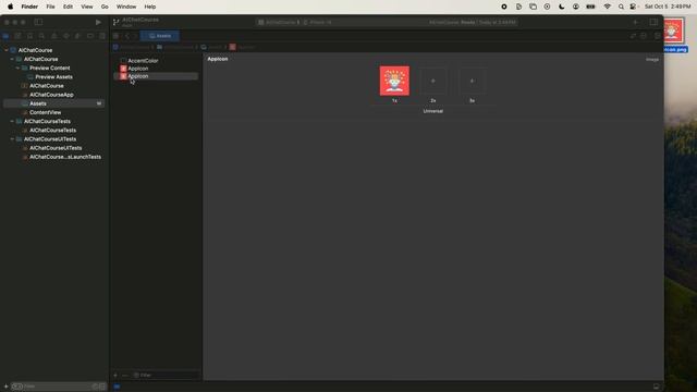 02 - Project Settings, Github, App Icon, & Launch Screen