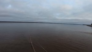 Рыбалка неводом. Ловля ряпушки на зиму.