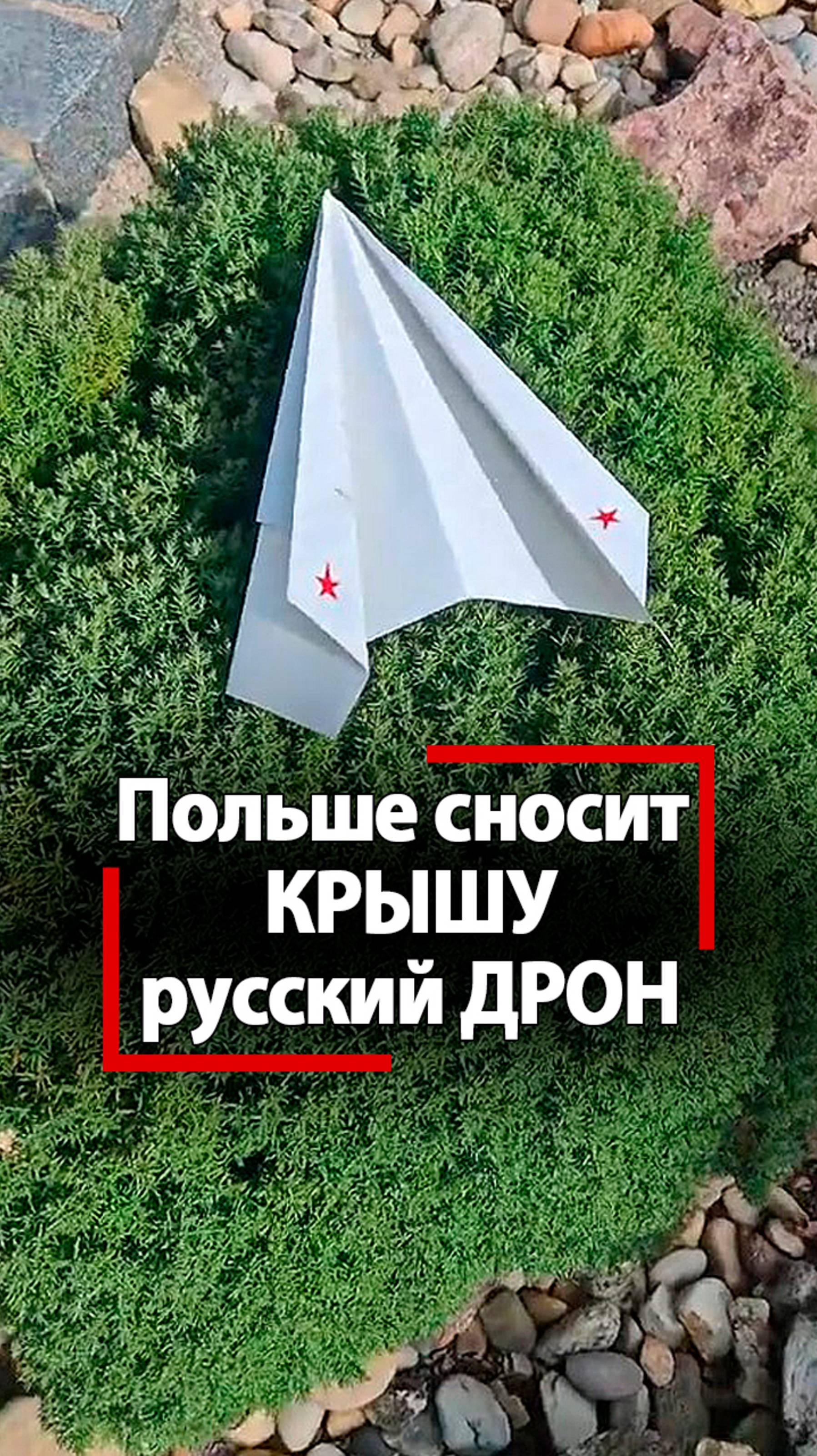 Польшу рвет от смеха с русского дрона! Поляки за Россию? Глупость власти стала мемами бобра! смотреть онлайн