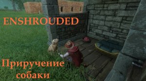 Enshrouded // Поиск собаки - Приручение собаки