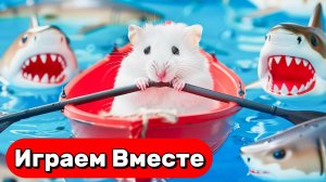 ЛАБИРИНТЫ С ЛОВУШКАМИ И МОНСТРАМИ ДЛЯ УМНОГО ХОМЯКА 🐹 ВЫБИРАЕМСЯ ВМЕСТЕ С ХОМЯКОМ