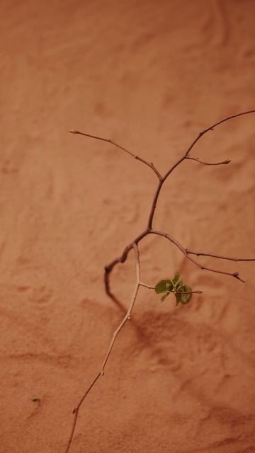 Скептики часто говорят