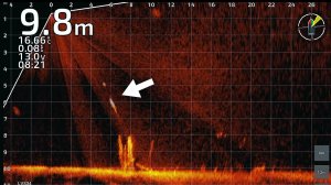 Как клюёт голодная 10-ка