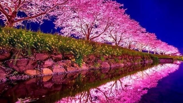 Красивое чтение Корана عبدالله الموسي смотреть онлайн