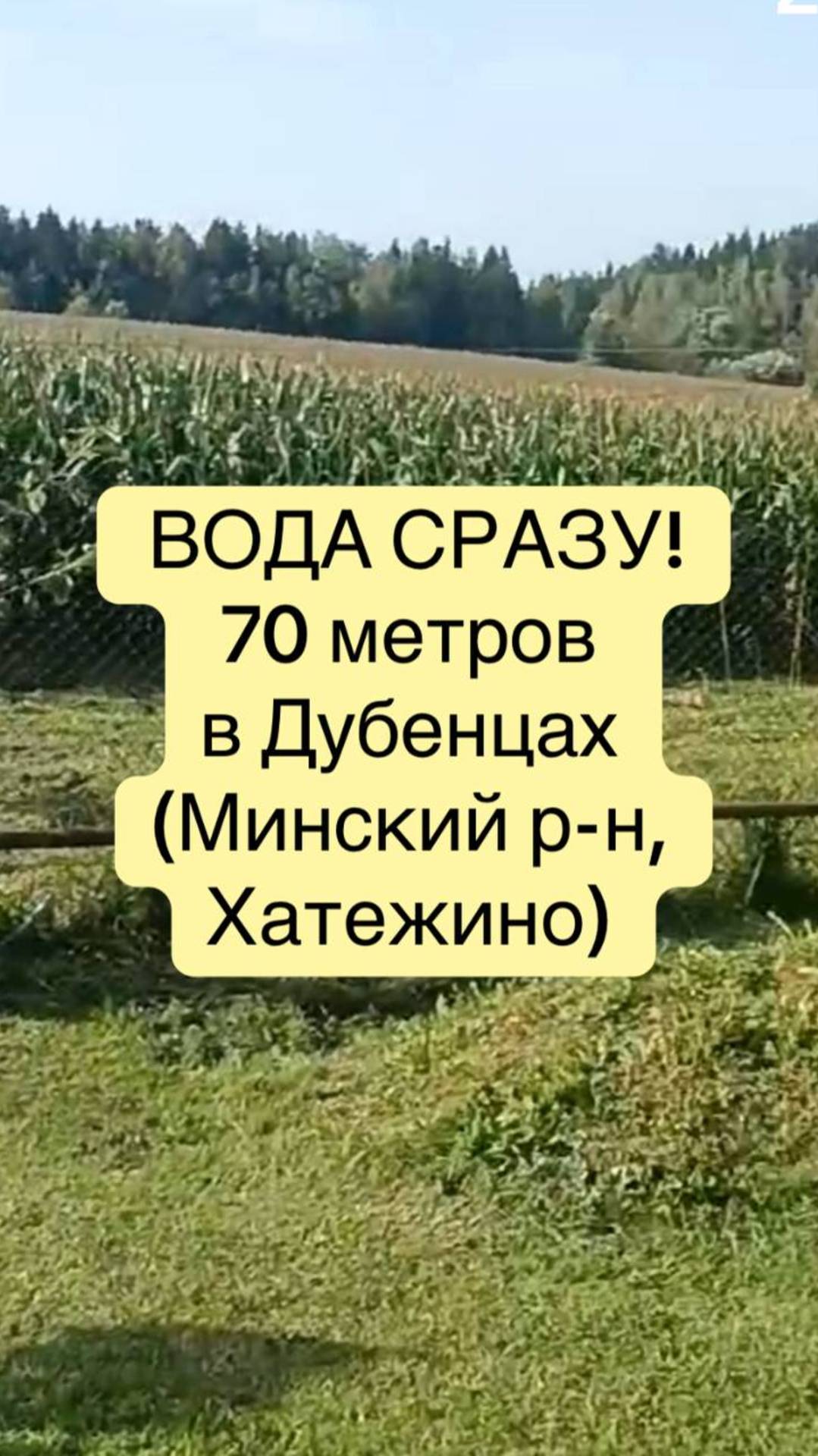 Вы когда-нибудь стояли у пустого крана и думали: «А где же моя вода?» 💧😨