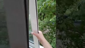 знакомиться будем?