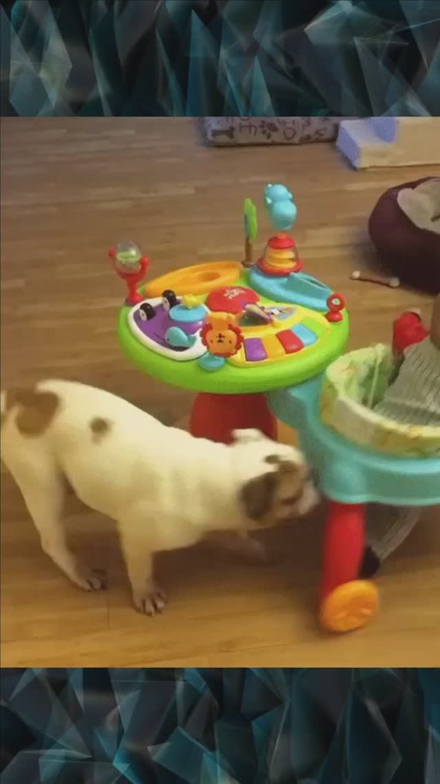 Собака и ребенок смотреть онлайн