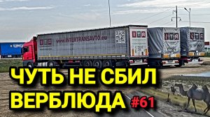 ЧУТЬ НЕ СБИЛ ВЕРБЛЮДА | ЗАЕХАЛИ В ПУСТЫНЮ | ЖАРА +45 | БЕЛАРУС ДАЛЬНОБОЙ #61