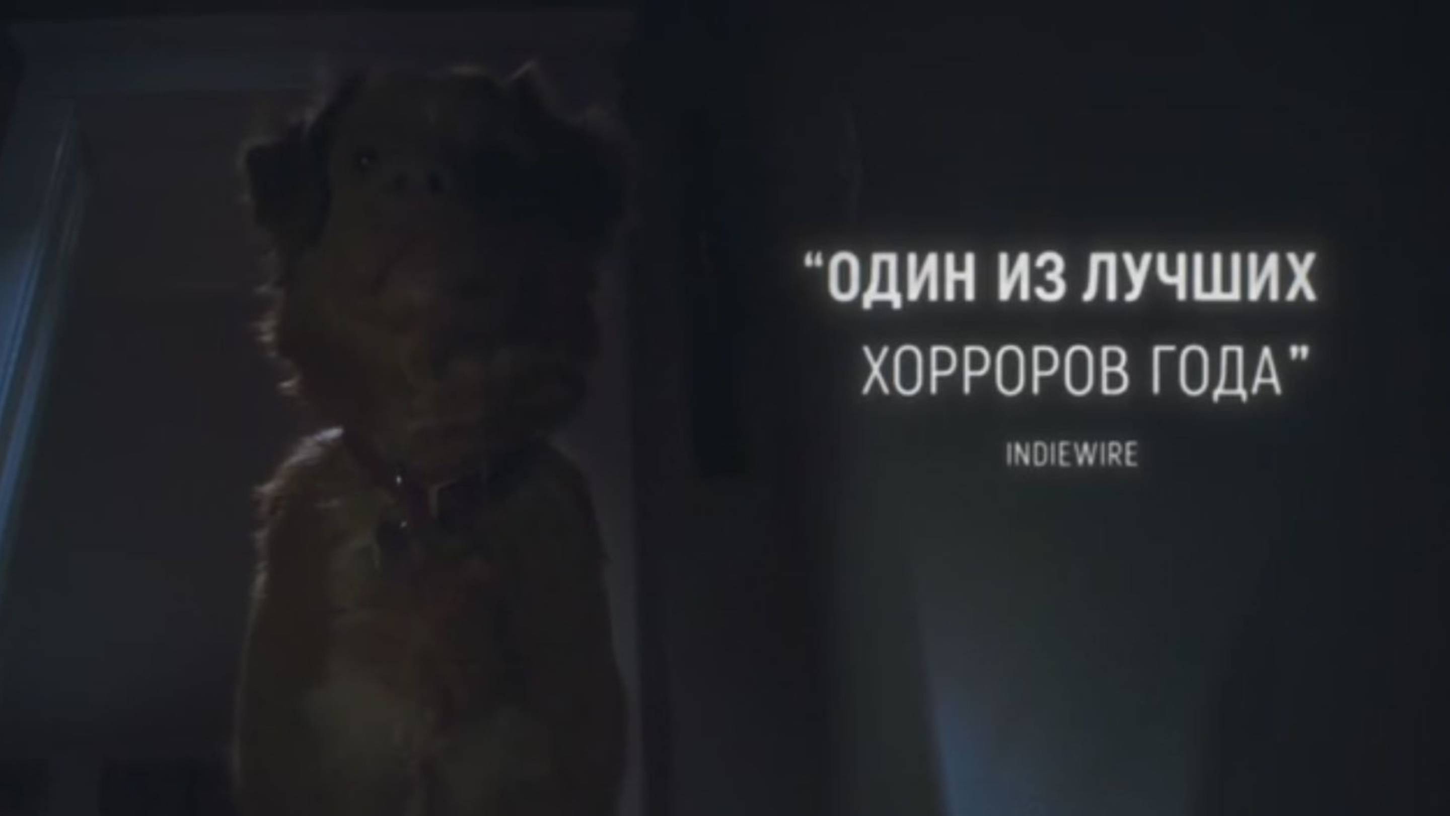 ГЛАЗАМИ ПСА