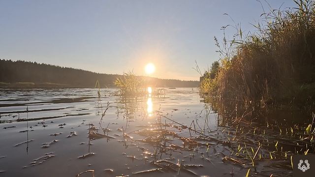 Сонная природа смотреть онлайн