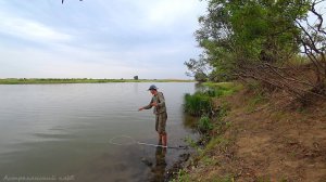 ОН ТУТ КРУПНЕЕ САЗАНА. РЫБАЛКА НА ЗАКИДУШКИ и ДЖИГ. КАРАСИ-ЛАПТИ. Рыбалка на судака, ловля сазана.