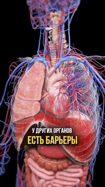 Чем заменить ⬇️ Есть 6 натуральных и безопасных альтернатив! смотреть онлайн