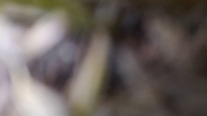 1000001212.mp4