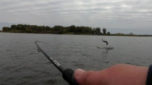 Приехал на Озеро Уткуль и наловил Щук! Трофей в прилове!