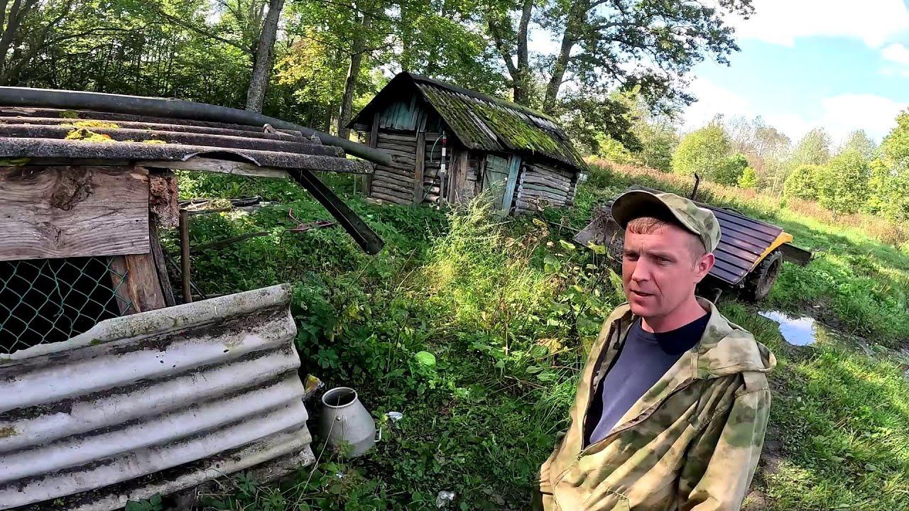 Брошенная собака ! Познакомился с соседями ! ХУТОР В ЛЕСУ №823 смотреть онлайн