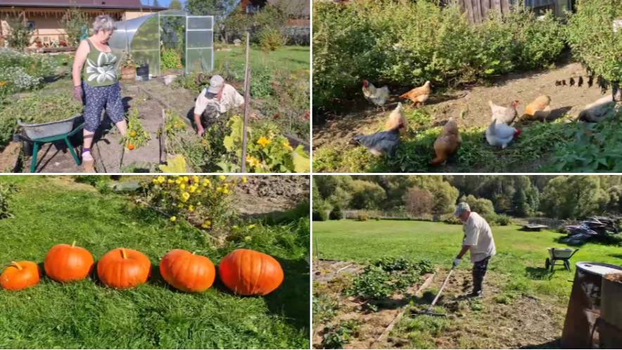 Из Москвы в деревню или пенсионеры на позитиве