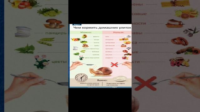 УХОД И СОДЕРЖАНИЕ АХАТИН И АРХАХАТИН смотреть онлайн