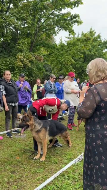 1 ОП Альштадт Боксерберг ЖДАН №3 / КЧК КАЛИНИНГРАД 7 сентября`25 А.Буйнова Моно немецких овчарок