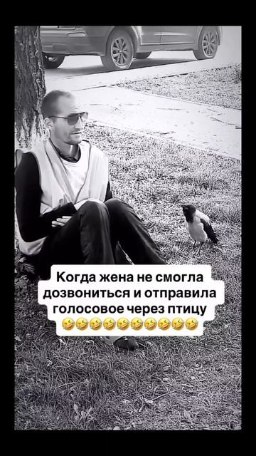 #ворона #голосовое #муж #жена #недозвонилась #смех #юмор #прикол #ржака смотреть онлайн