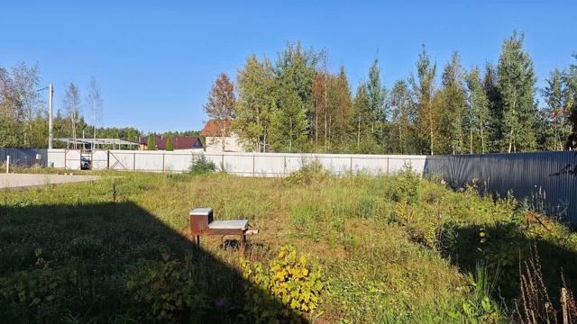 9778163 смотреть онлайн