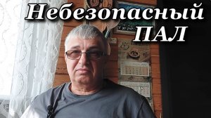 Небезопасный ПАЛ