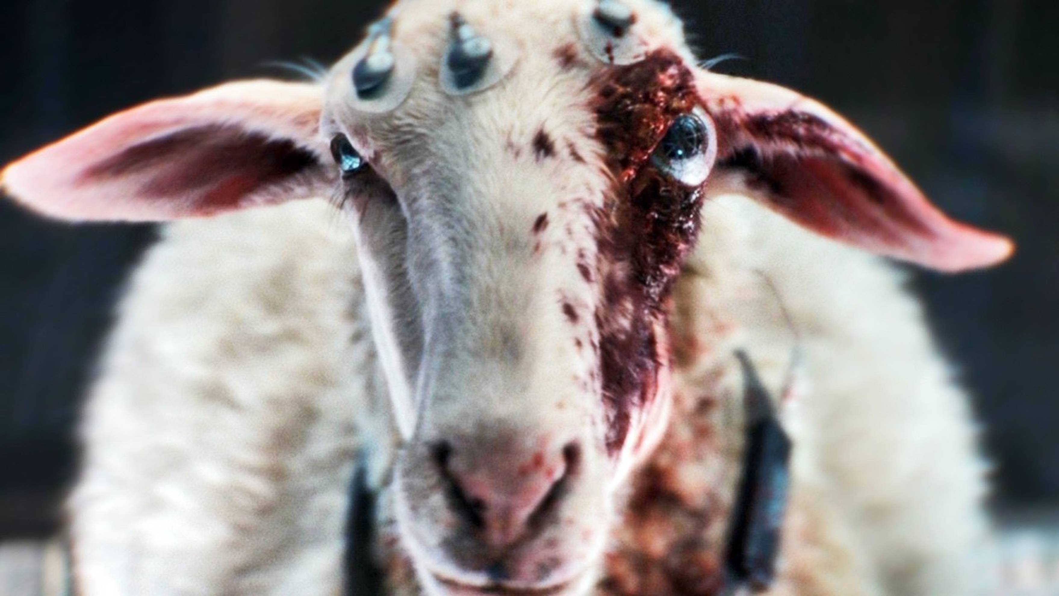 Новые Сериалы 2025 Которые Уже Можно Посмотреть. Премьеры и новые сезоны. Август - сентябрь 2025