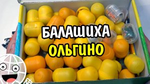 Подписчица прислала всю свою коллекцию Киндеров! Кира Балашиха Ольгино