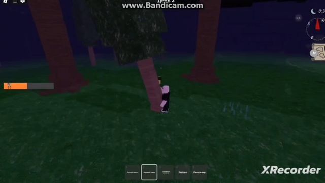 99 ночей в лесу