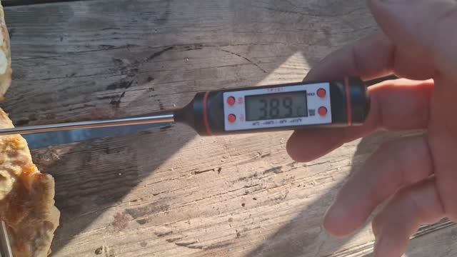 Тестируем недорогой термощуп для проверки готовности мяса баранины, курицы. смотреть онлайн