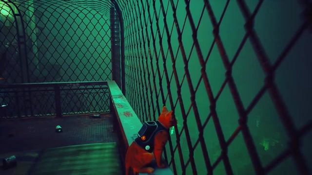 Stray.  Мидтаун. Часть 22