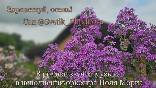 Здравствуй, осень смотреть онлайн