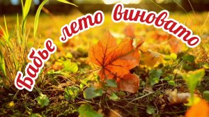 БАБЬЕ ЛЕТО 🍁🍂🍃 ВИНОВАТО!