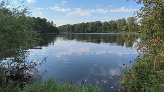 Новоталицкое вдхр. ч.5. Сентябрь 2025 смотреть онлайн