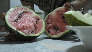 ДЕЛА НА ОГОРОДЕ СОБРАЛИ УРОЖАЙ И НАШЛИ ГРИБЫ ЗА ОГОРОДОМ!