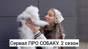 Сериал Про собаку. 2 сезон. 1-9 серии
