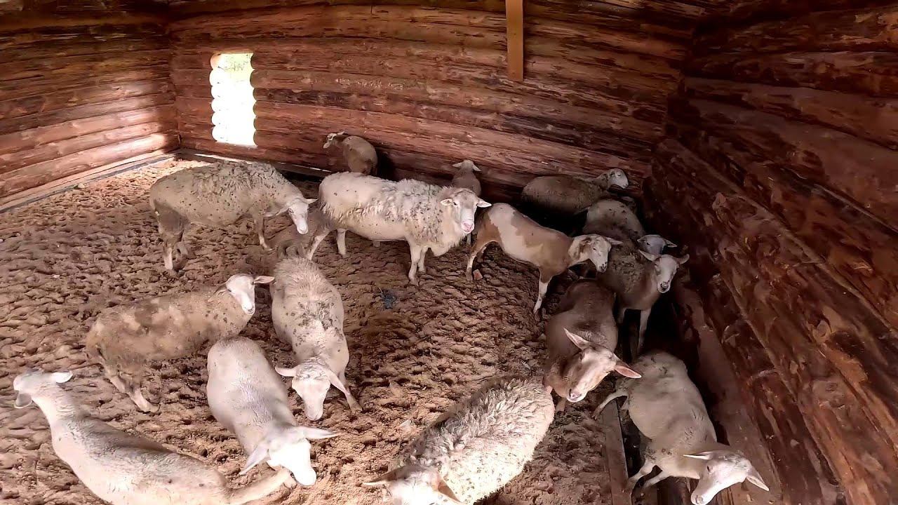 Стройка отменяется ! Буду всё разбирать ! ХУТОР В ЛЕСУ №806 смотреть онлайн