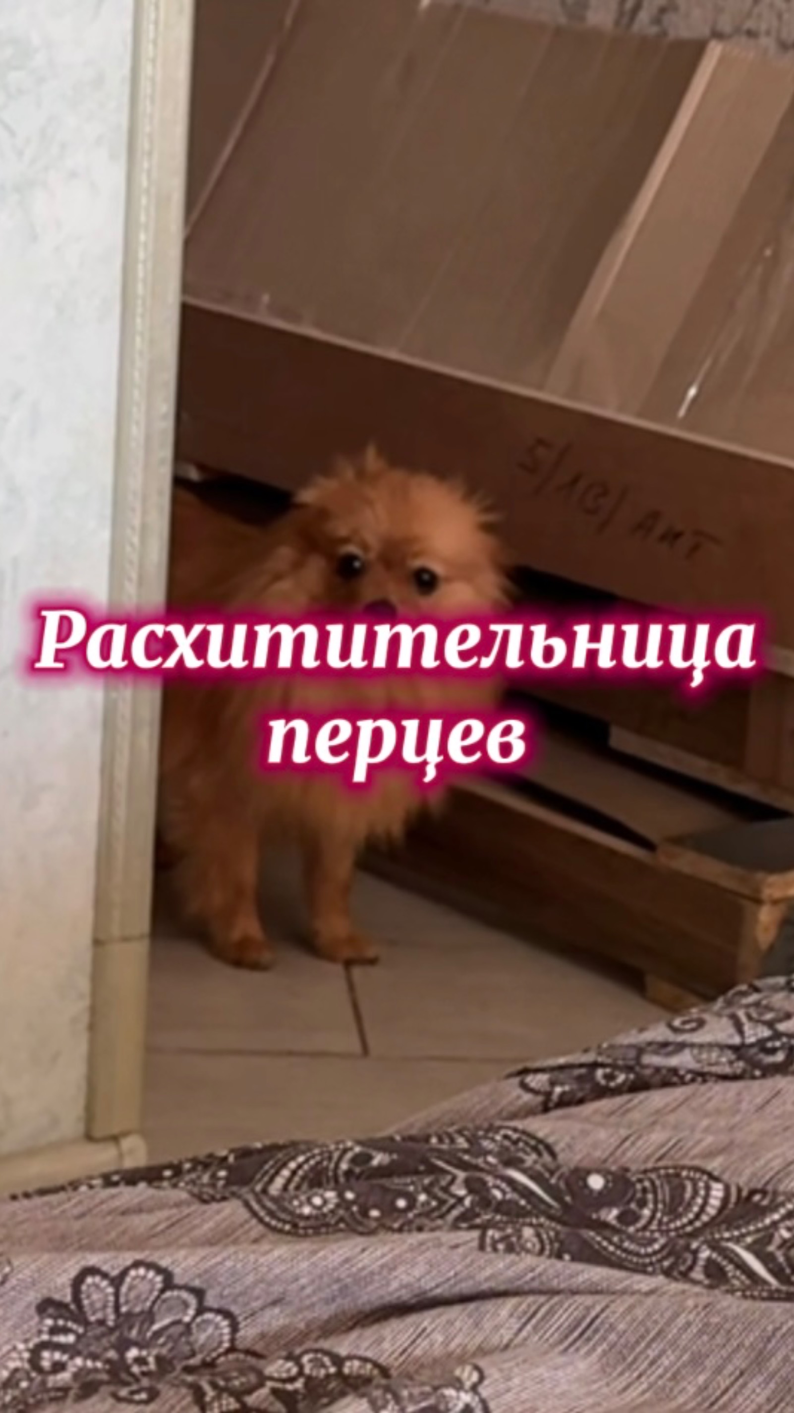 Расхитительница перцев.