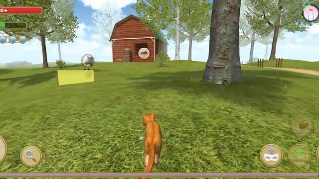 кот валера смотреть онлайн