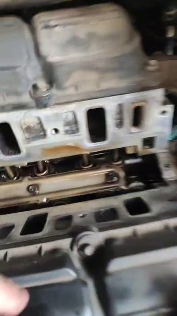 ВСКРЫТИЕ: Правда о масле Akkora. 500 000 - итог шокирует! #аккора #моторное #масло #двигатель смотреть онлайн