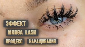 Процесс наращивания авторского эффекта Manga lash🔝