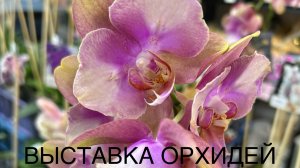 ВЫСТАВКА ОрХиДеЙ| ОРХИДИУМ|Сентябрь 2025