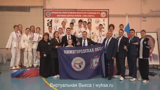 Тхэквондо ИТФ в Выксе: Первенство области и яркий фестиваль цветных поясов смотреть онлайн