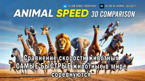 Сравнение скорости животных: САМЫЕ БЫСТРЫЕ животные в мире соревнуются 🐇🐢🐎🐶🏁💨