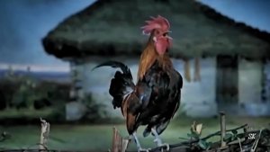 Т.Повалий и Н.Басков. Ты ж мене пидманула 🥀