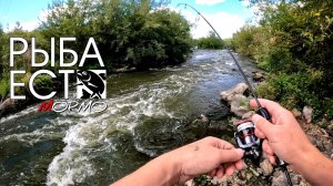 Ловля на течении. Мормышинг Наноджиг Ультралайт