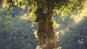 Истории из жизни|Цена тихого счастья|Аудио рассказы|Аудиокниги слушать