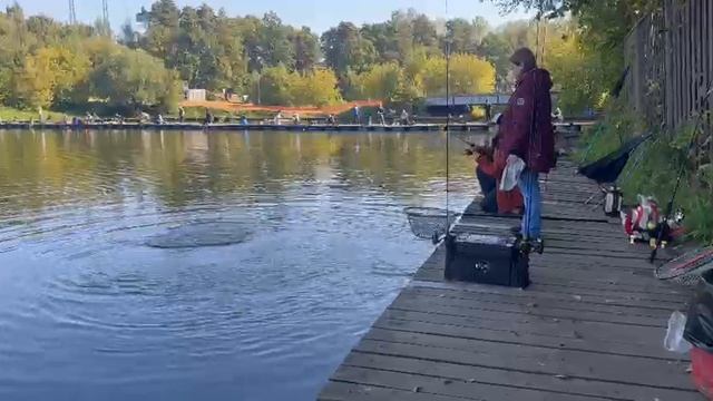На блесну смотреть онлайн