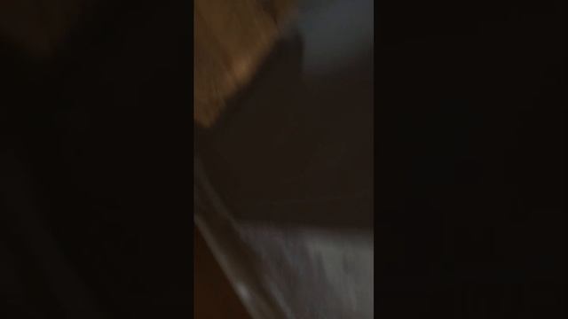 влог смотреть онлайн