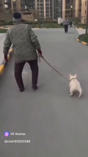 😂👍👍👍Подписывайся!🔔